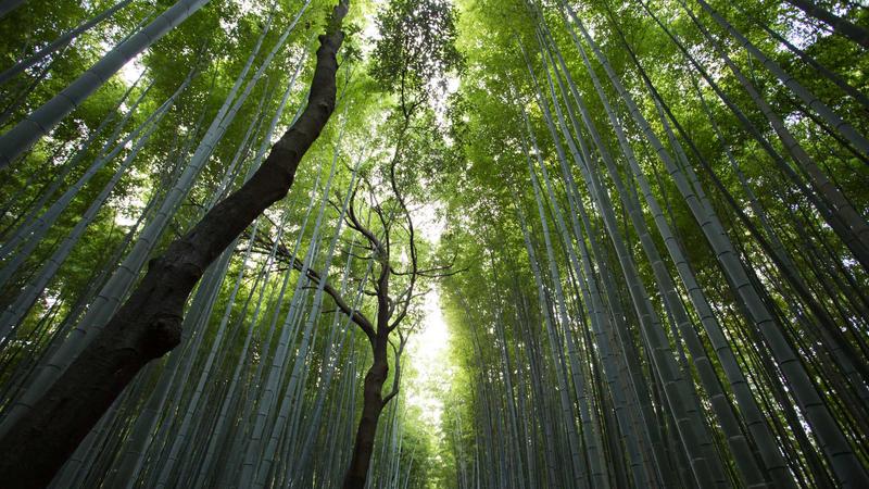 每日大赛官网赛事策划服务